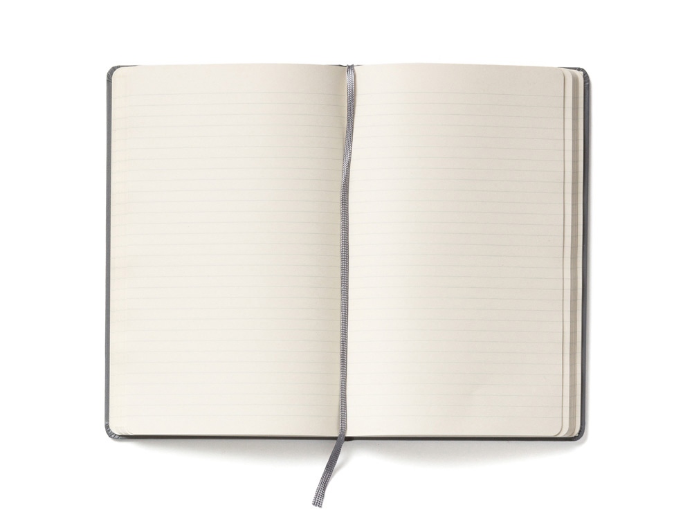 картинка Записная книжка Moleskine Classic (в линейку) в твердой обложке, Large (13х21см), серый от интернет-магазина сувениров и бизнес-подарков Gifts-Moskva.RU г. Москва